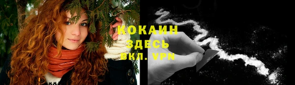 стаф Кукмор