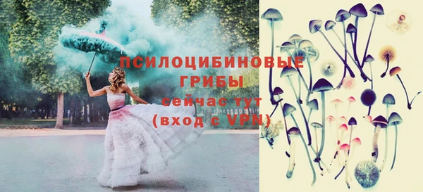 стаф Кукмор