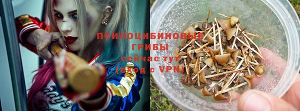 стаф Кукмор