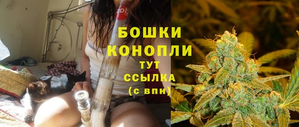стаф Кукмор